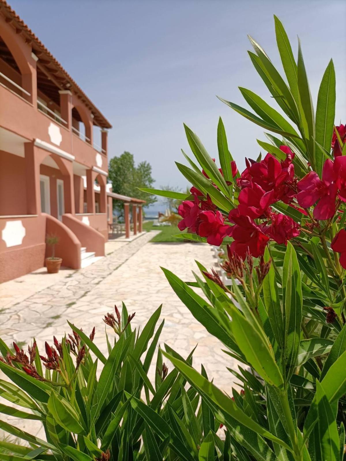Melador Beachfront Apartments Kávos Extérieur photo